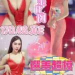 嘉義定點茶-混血兒/160/48/?/E
