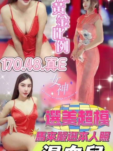 嘉義定點茶-混血兒/160/48/?/E