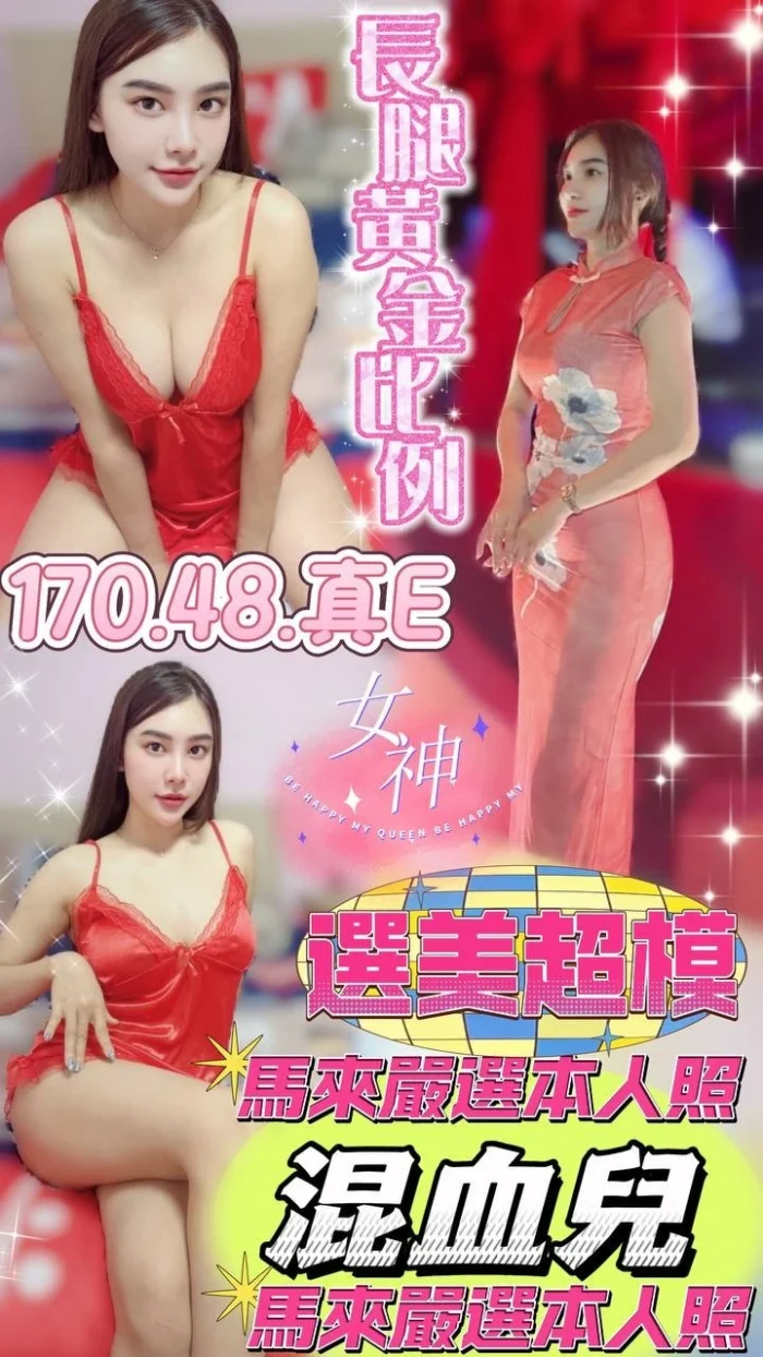 嘉義定點茶-混血兒/160/48/?/E