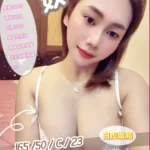 新竹定點茶-奴比/165/50/23/C