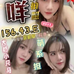苗栗定點茶-咩咩./156/43/23/E