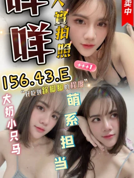 苗栗定點茶-咩咩./156/43/23/E