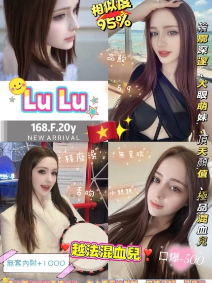 新北定點茶-LuLu/168/50/20/F