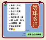 新北定點茶-奶球/153/55/23/H