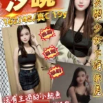 桃園定點茶-汐曉/162/48/19/C