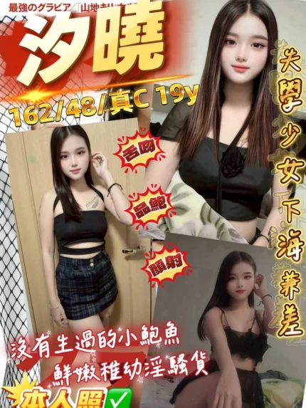 桃園定點茶-汐曉/162/48/19/C