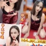 新北定點茶-美莎/164/50/26/C