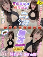新竹定點茶-糖芯/158/43/20/E