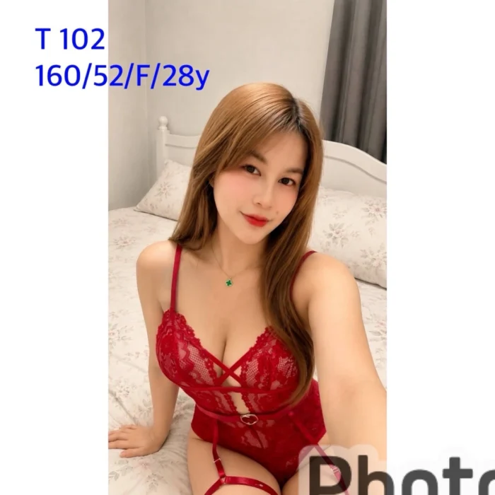 嘉義定點茶-T102/160/52/28/F