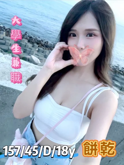 台中外送茶-餅乾/157/45/18/D