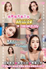 桃園定點茶-精靈妹/166/48/20/D