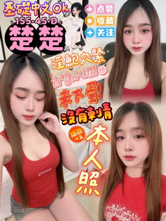 屏東定點茶-楚楚/155/45/23/D