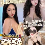 台南外送茶-發發/165/55/?/I