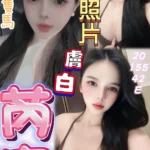 桃園定點茶-芮宣/155/42/20/E