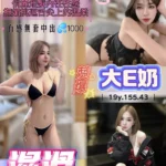 桃園定點茶-濕滑/155/43/19/E