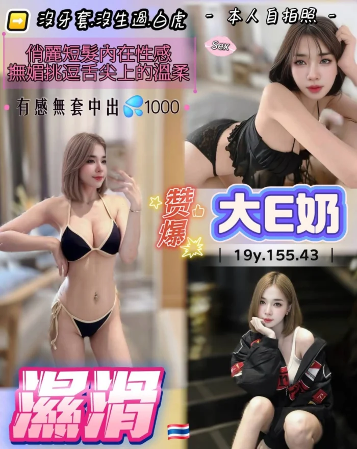 桃園定點茶-濕滑/155/43/19/E 桃園定點茶-濕滑/155/43/19/E