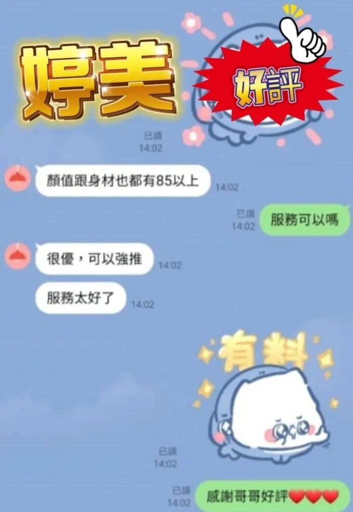 新北定點茶-婷美/162/49/26/D
