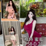 台中外送茶-蜜蜜/158/?/21/D