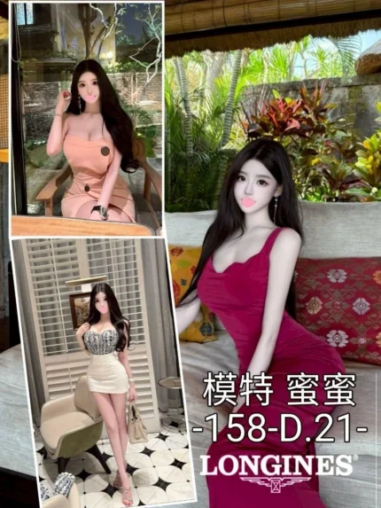 台中外送茶-蜜蜜/158/?/21/D