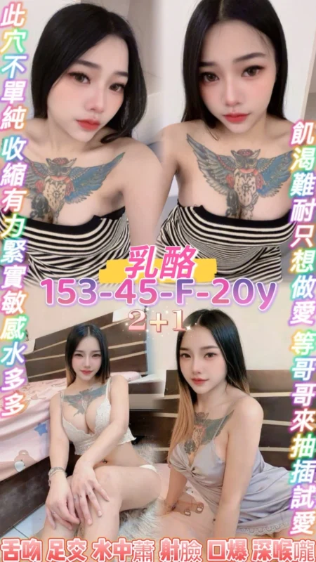 桃園定點茶-乳酪/153/45/20/F