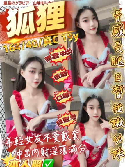 桃園定點茶-狐狸/164/40/19/C