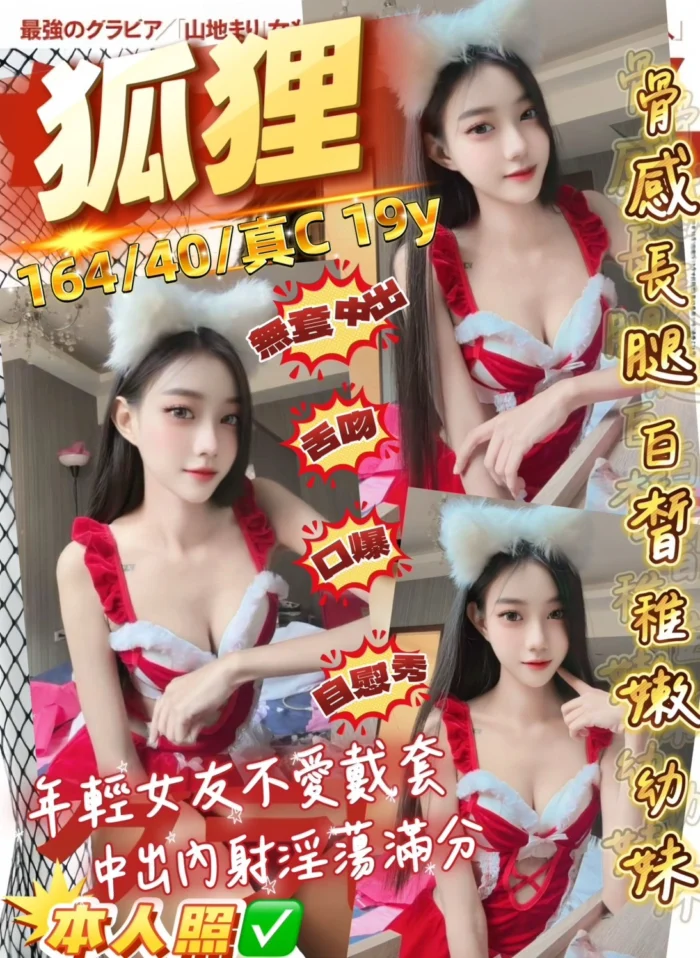 桃園定點茶-狐狸/164/40/19/C 桃園定點茶-狐狸/164/40/19/C