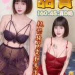 台中定點茶-甜寶/160/45/?/D