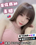 台中定點茶-藤井/163/45/25/C