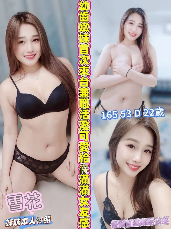 嘉義定點茶-雪花/165/53/22/D 嘉義定點茶-雪花/165/53/22/D