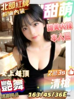 台南定點茶-甜萌/163/45/21/E