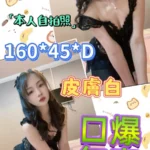 嘉義定點茶-小蝶/160/45/?/D