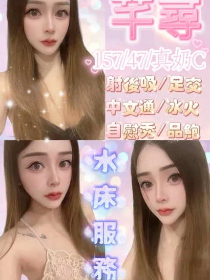 新竹定點茶-芊尋/157/47/24/C