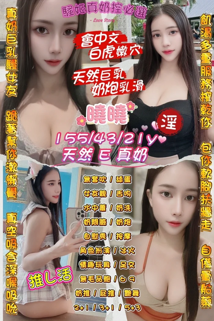 桃園定點茶-曉曉/155/43/21/E 桃園定點茶-曉曉/155/43/21/E