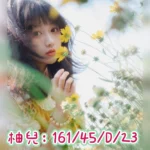 台中定點茶,外送茶-柚兒/161/45/23/D