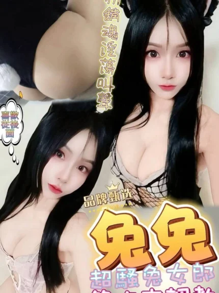 屏東定點茶-兔兔/156/47/?/D