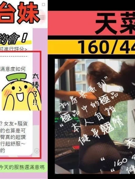 台中外送茶-天菜/160/44/20/D