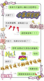 新竹定點茶-小蘿拉/160/46/20/E