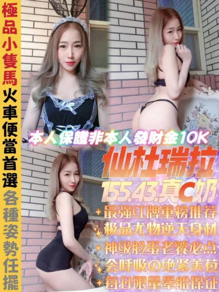 新北定點茶-仙杜瑞拉/155/43/22/C