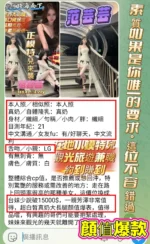 高雄定點茶-范芸芸/165/43/20/E