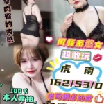 台中定點茶-虎南/162/53/24/D