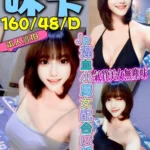 台中定點茶-咪卡/160/48/22/D