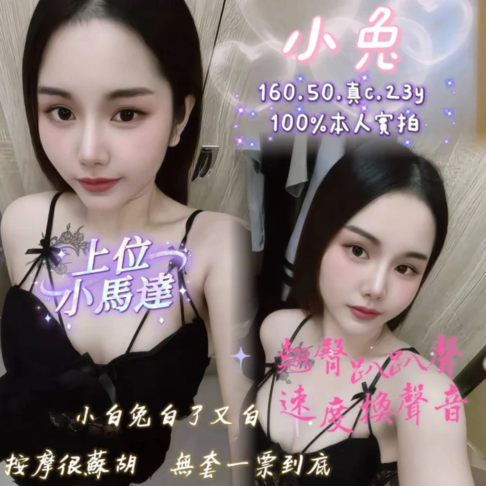 嘉義定點茶-小兔/160/50/23/C 嘉義定點茶-小兔/160/50/23/C