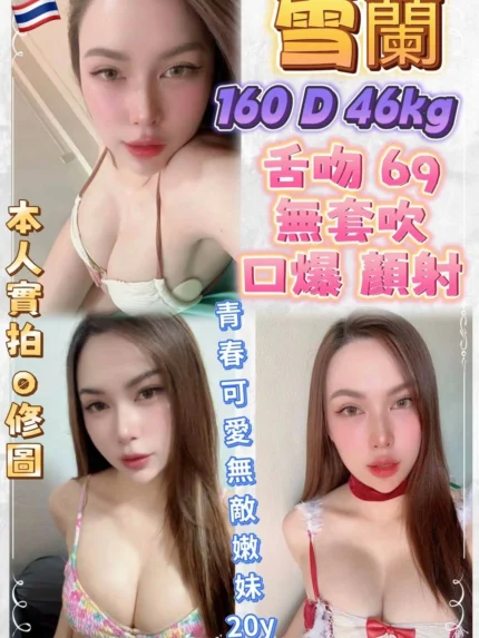 新北定點茶-雪蘭/160/46/20/D