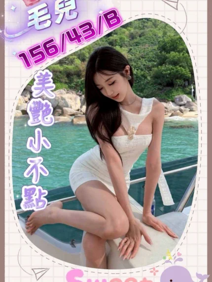台中外送茶-毛兒/156/43/?/B