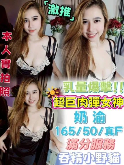 台中定點茶-奶渝/165/50/22/F