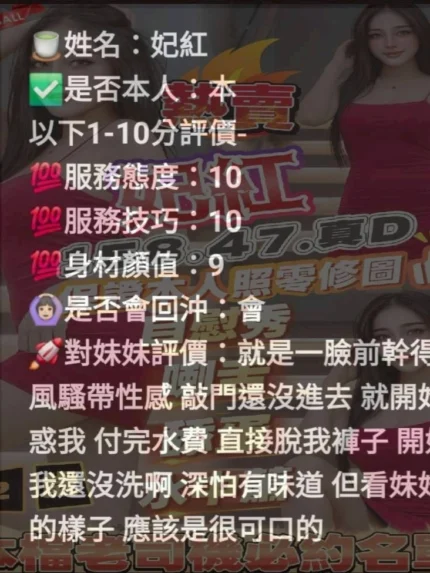 新竹定點茶-妃紅/158/47/22/D