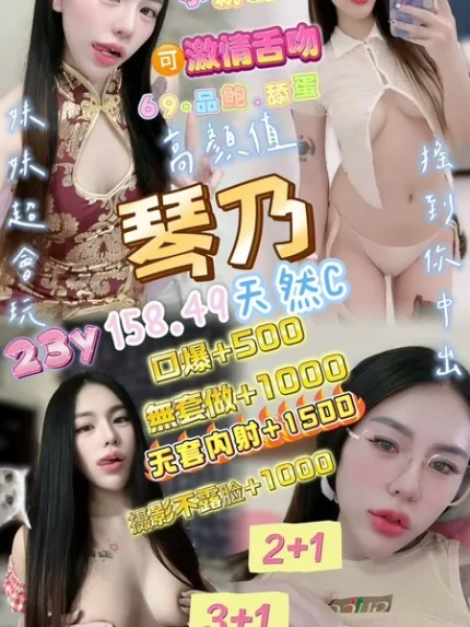 桃園定點茶-琴乃/160/49/23/C
