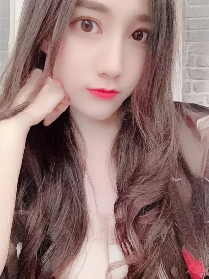 南投定點茶-悠莉/160/49/25/E