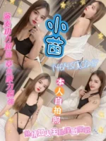 新北定點茶-小苗/146/45/21/C