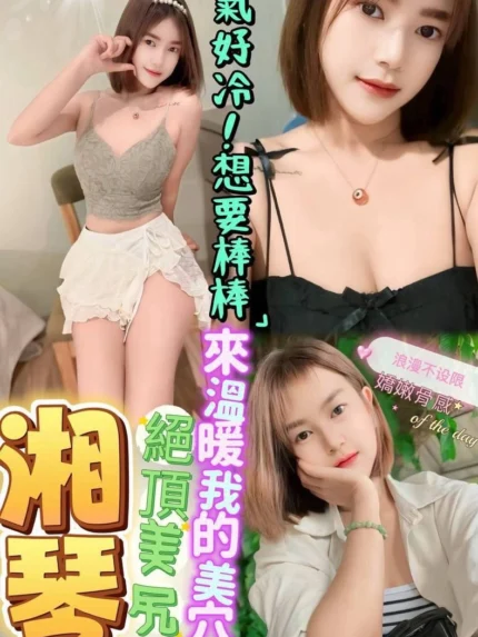屏東定點茶-湘琴/157/45/?/C